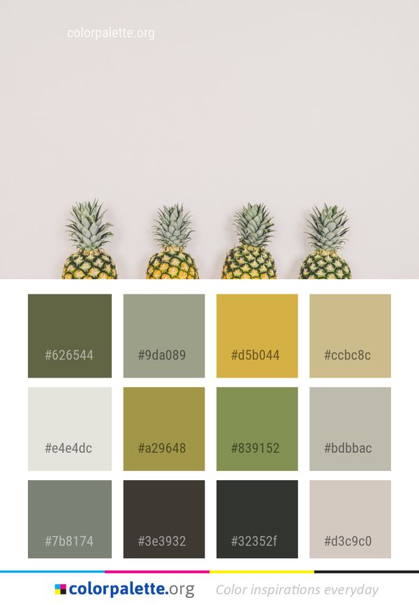 Pineapple Plant Bromeliaceae Color Palette