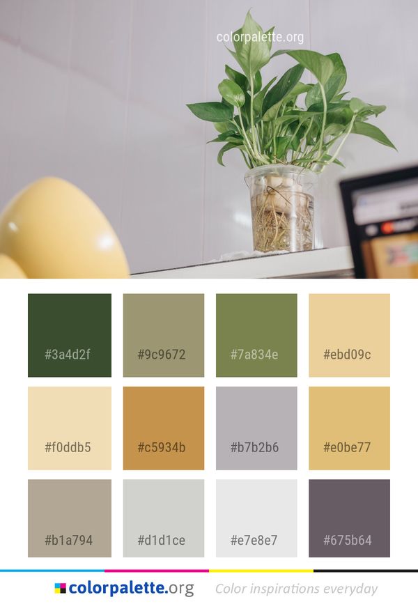 Plant Flowerpot Vase Color Palette