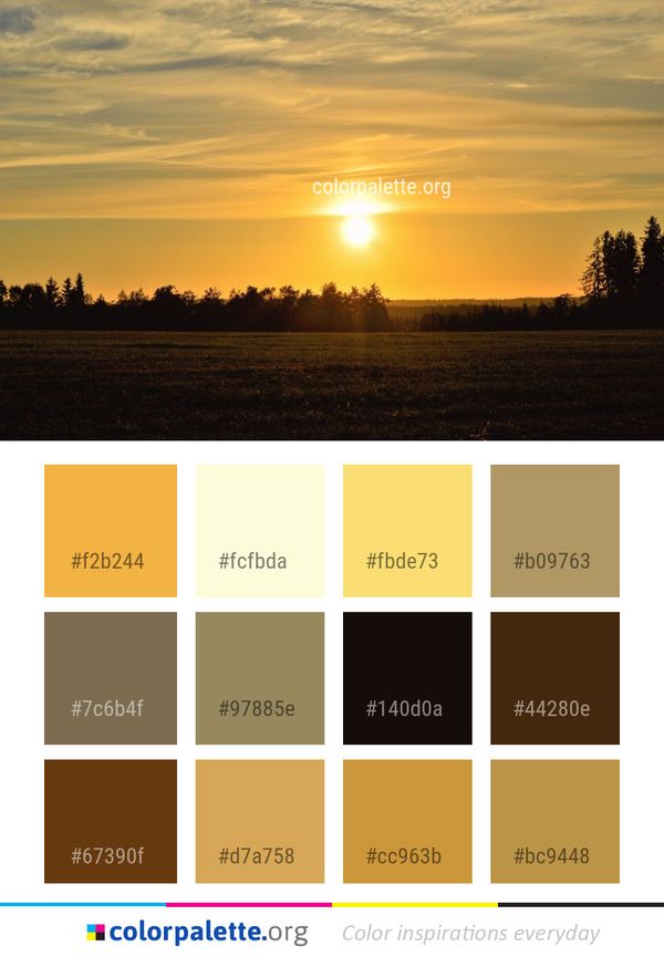 Sky Field Horizon Color Palette