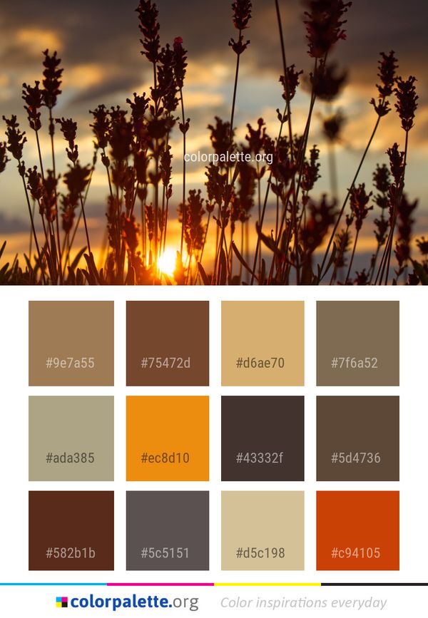 Sky Morning Sunlight Color Palette
