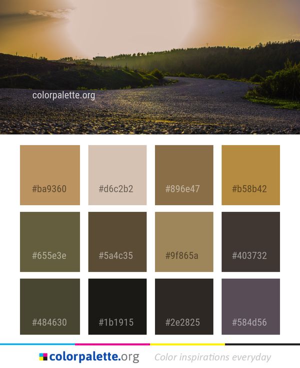 Sky Wilderness Atmosphere Color Palette