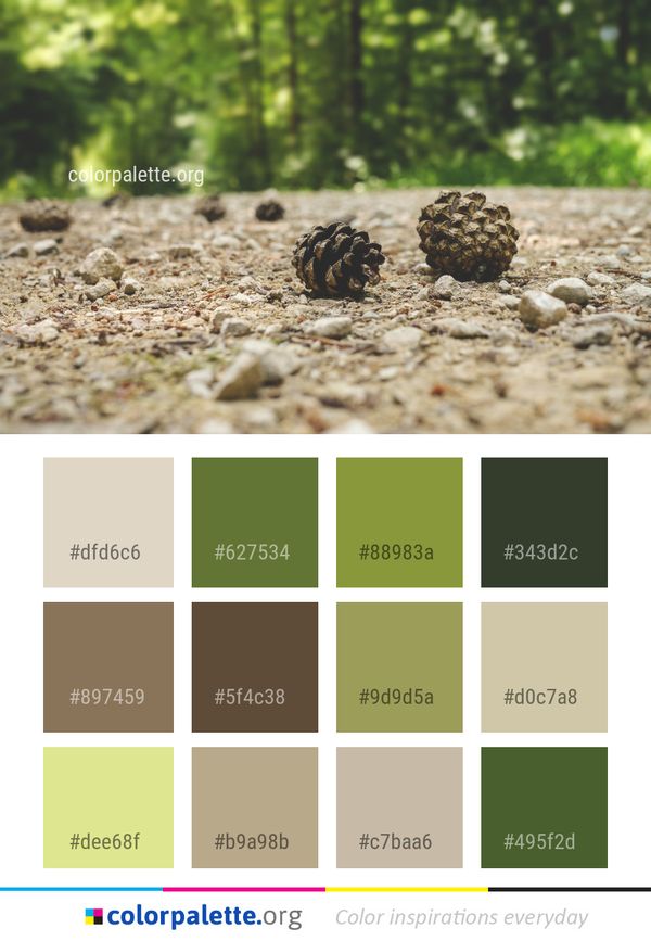 Soil Rock Tree Color Palette