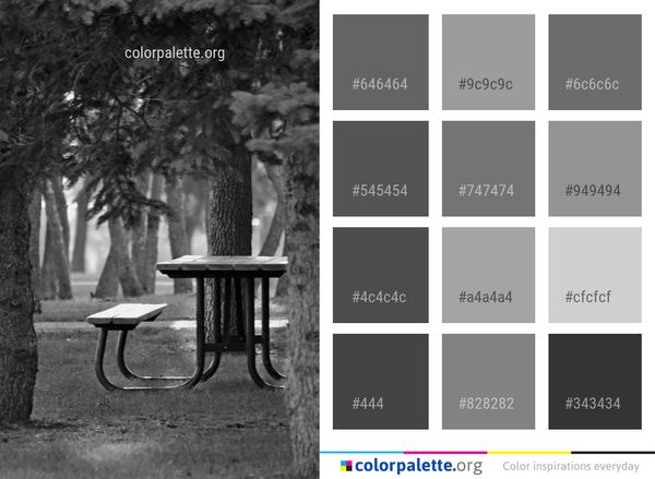 Tree Black Photograph Color Palette