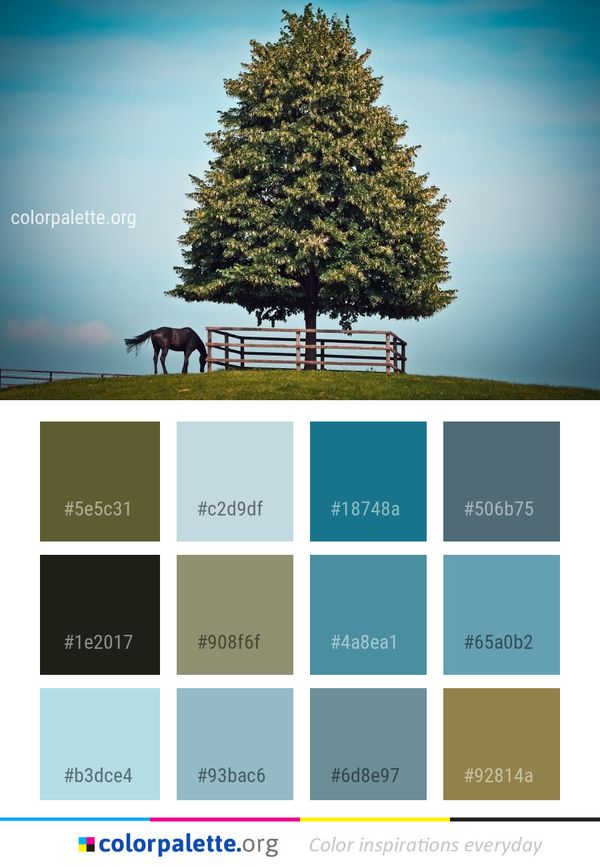 Tree Nature Sky Color Palette
