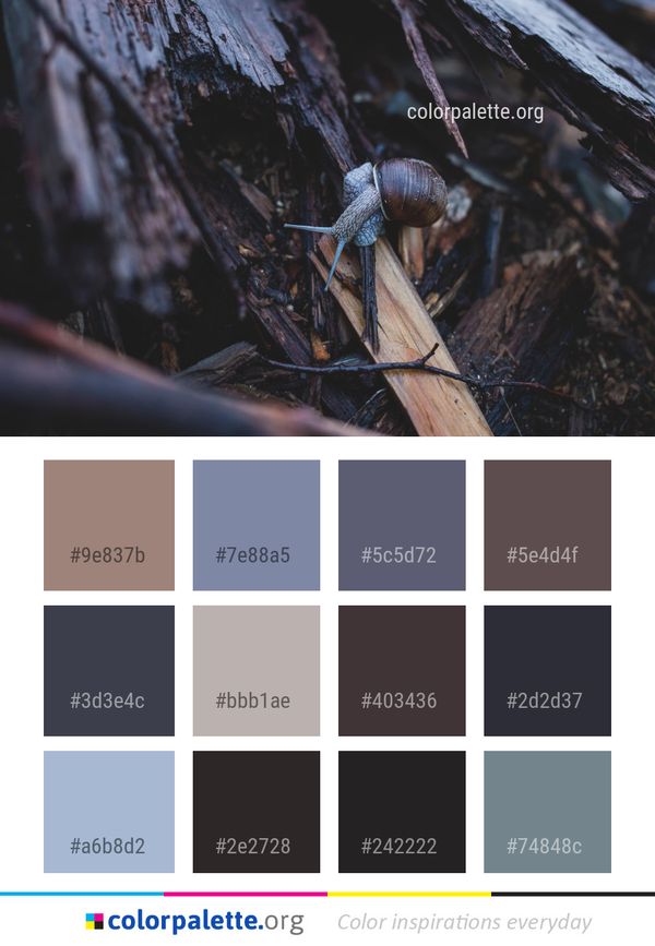 Tree Organism Color Palette