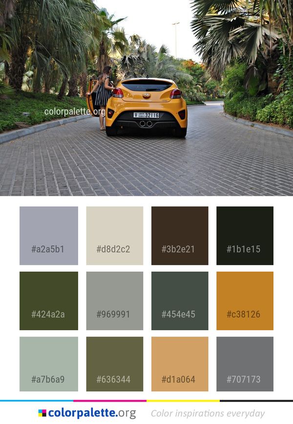 Car Motor Vehicle Yellow Color Palette