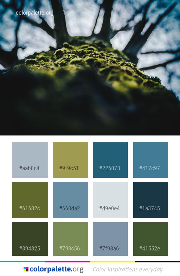 Green Leaf Nature Color Palette