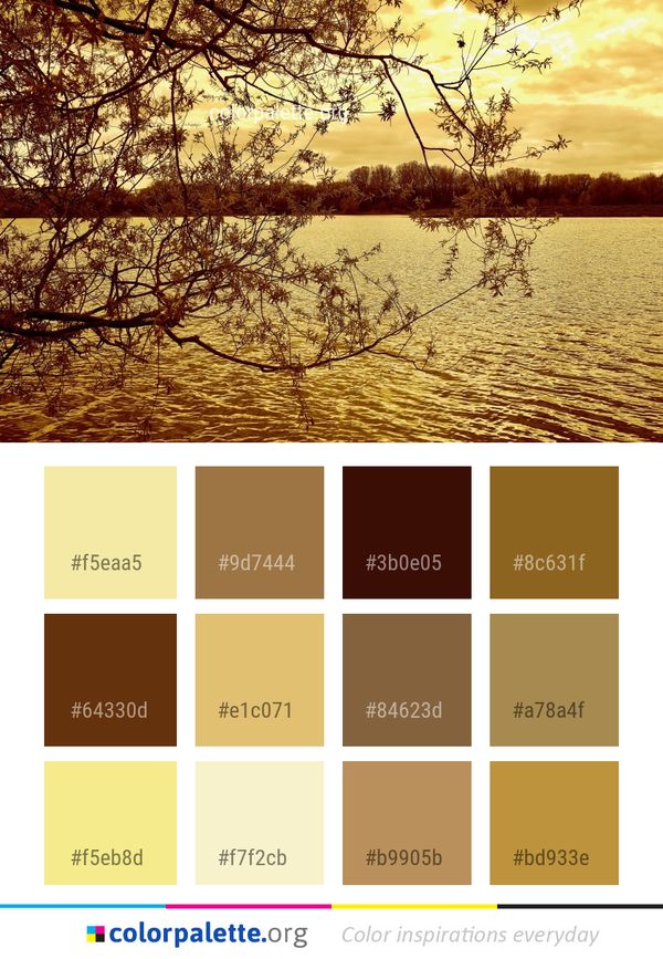 Nature Branch Water Color Palette