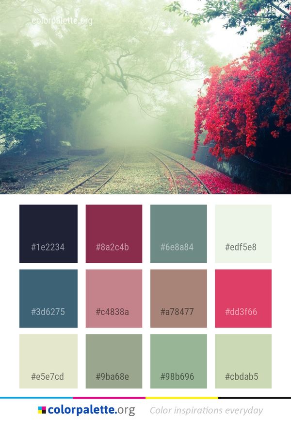 Nature Leaf Tree Color Palette
