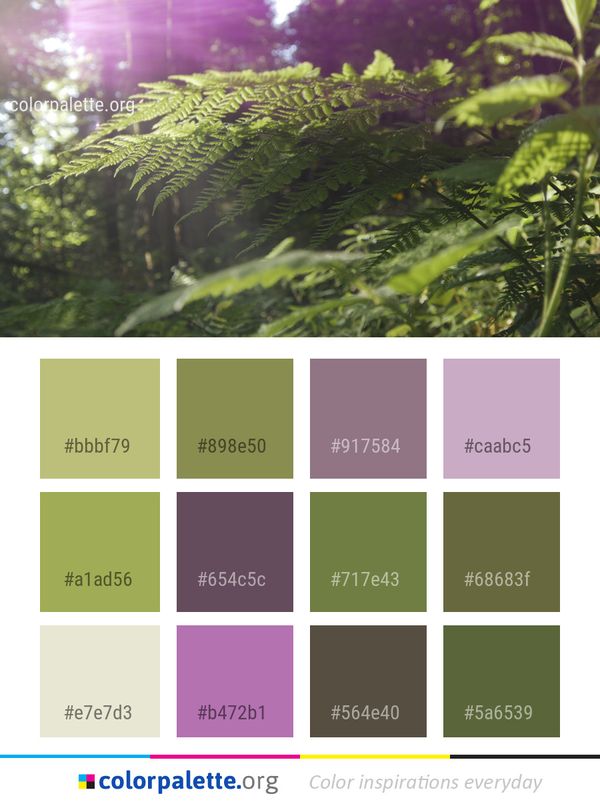 Vegetation Ecosystem Plant Color Palette