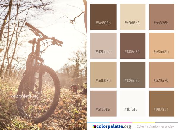 Bicycle Tree Woody Plant Color Palette
