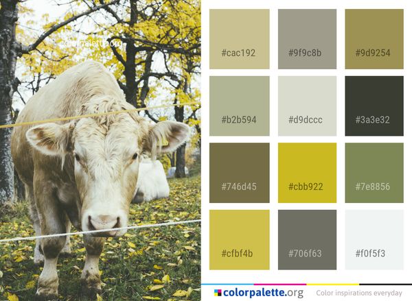 Cattle Like Mammal Woody Plant Tree Color Palette