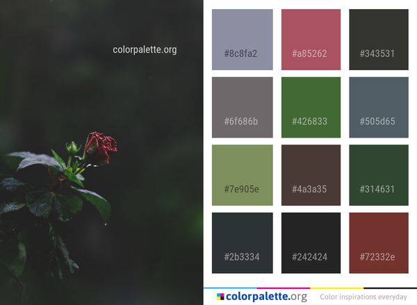 Flora Plant Flower Color Palette