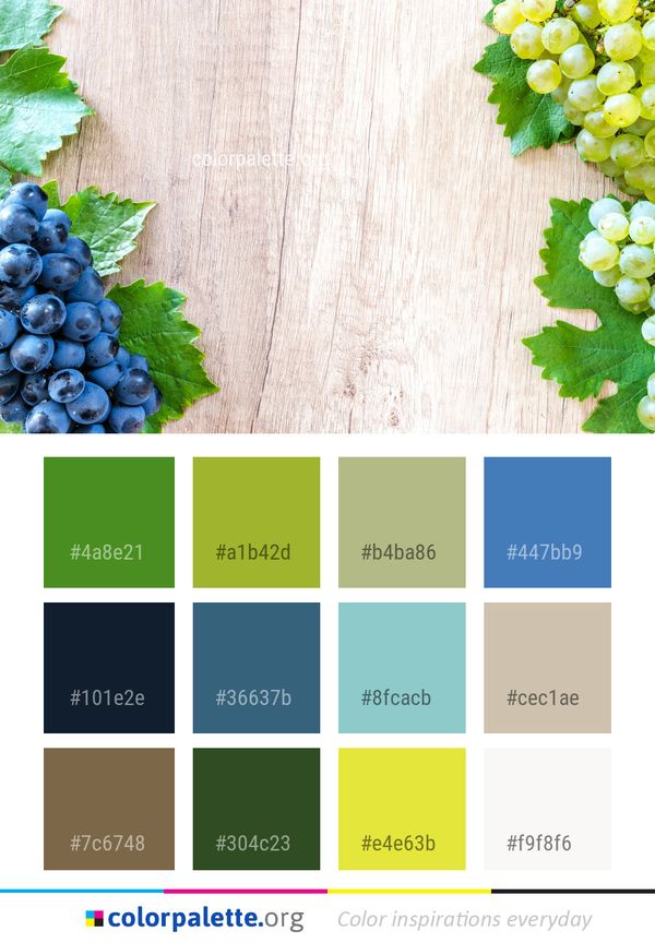 Grape Fruit Grapevine Family Color Palette