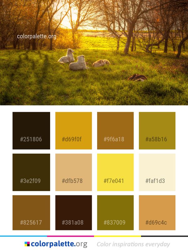 Nature Ecosystem Woodland Color Palette