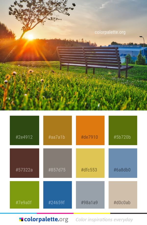 Nature Field Grass Color Palette