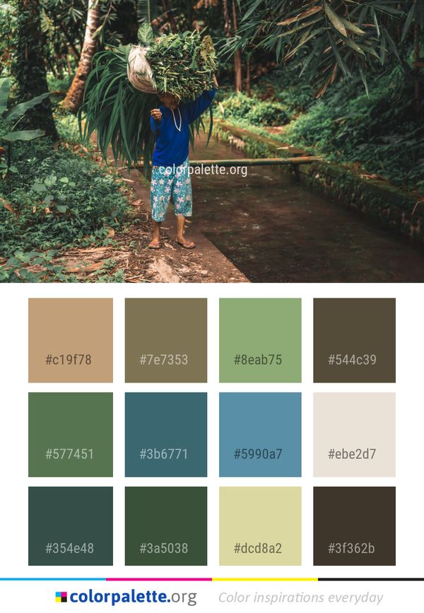 Nature Green Tree Color Palette
