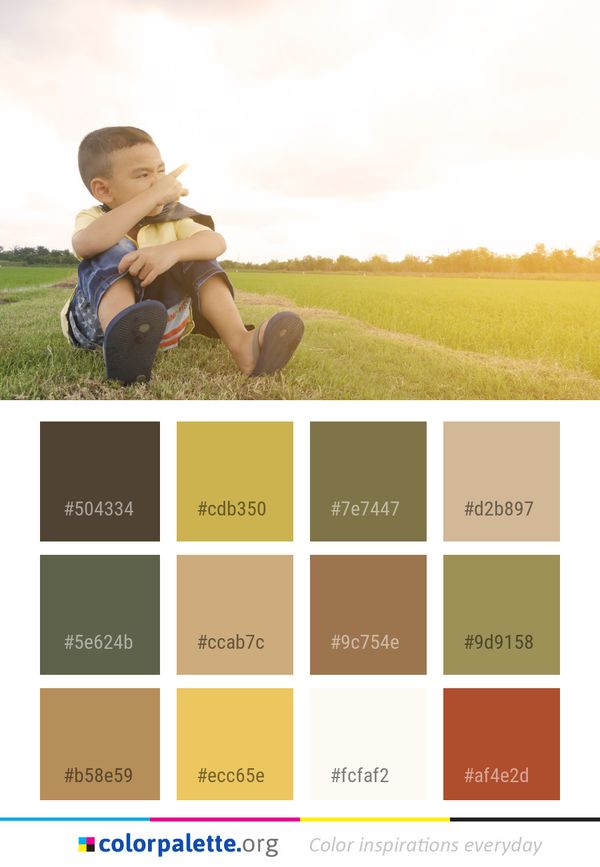 Photograph Grassland Child Color Palette