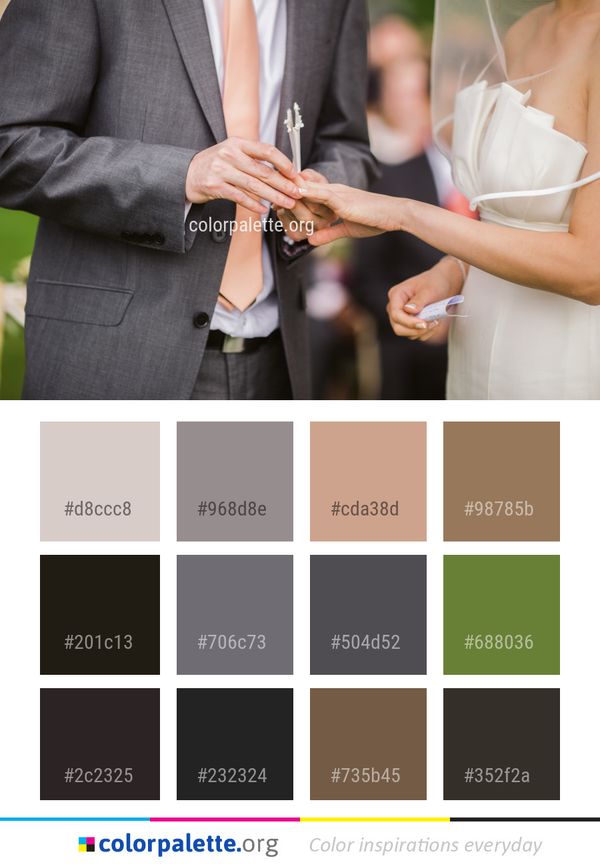 Photograph Suit Wedding Color Palette