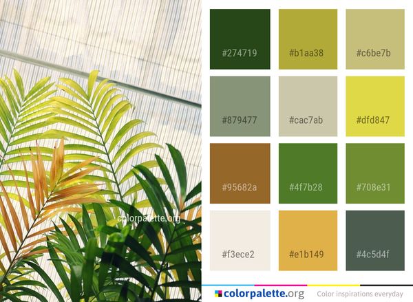 Plant Leaf Tree Color Palette