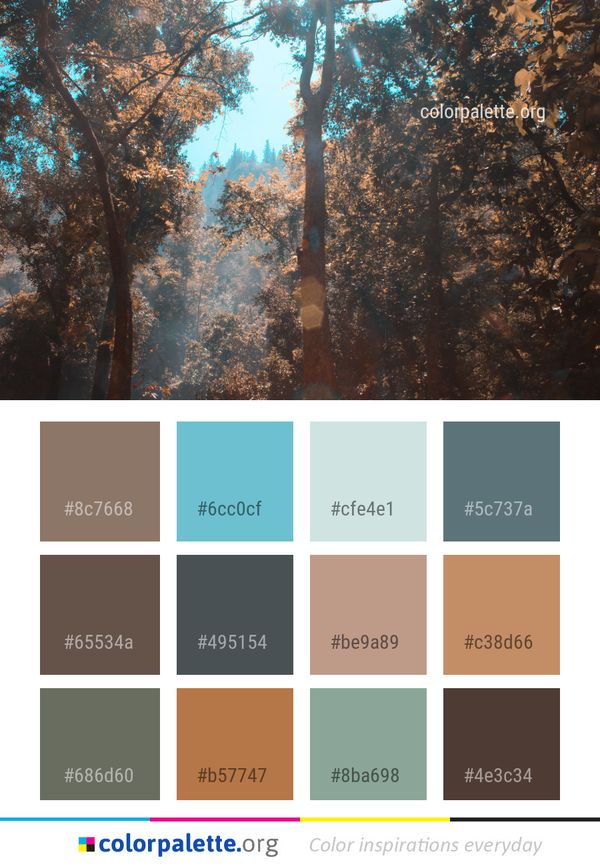 Tree Nature Sky Color Palette
