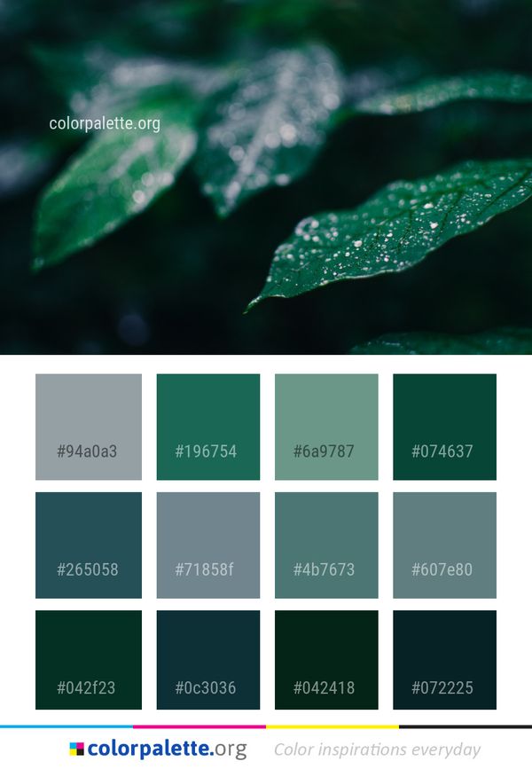 Water Green Leaf Color Palette