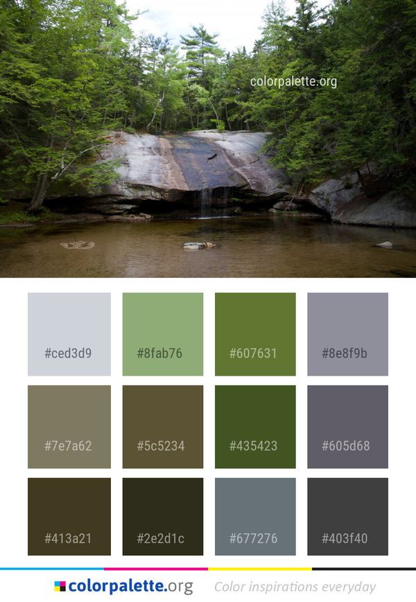Water Nature Reserve Color Palette