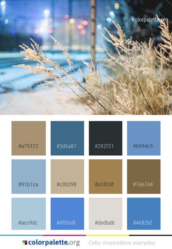 Winter Frost Branch Color Palette