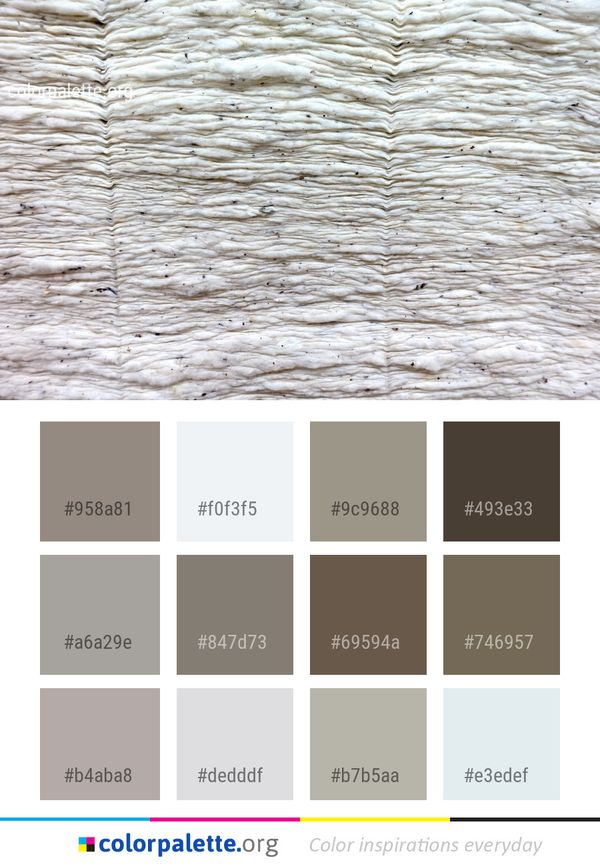 Wood Material Geology Color Palette