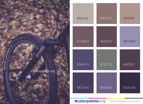 Bicycle Wheel Road Color Palette