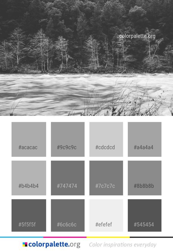 Black And White Nature Winter Color Palette