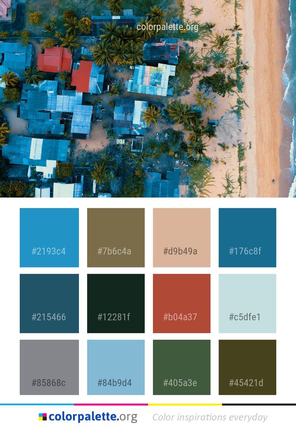 Blue Majorelle Tree Color Palette