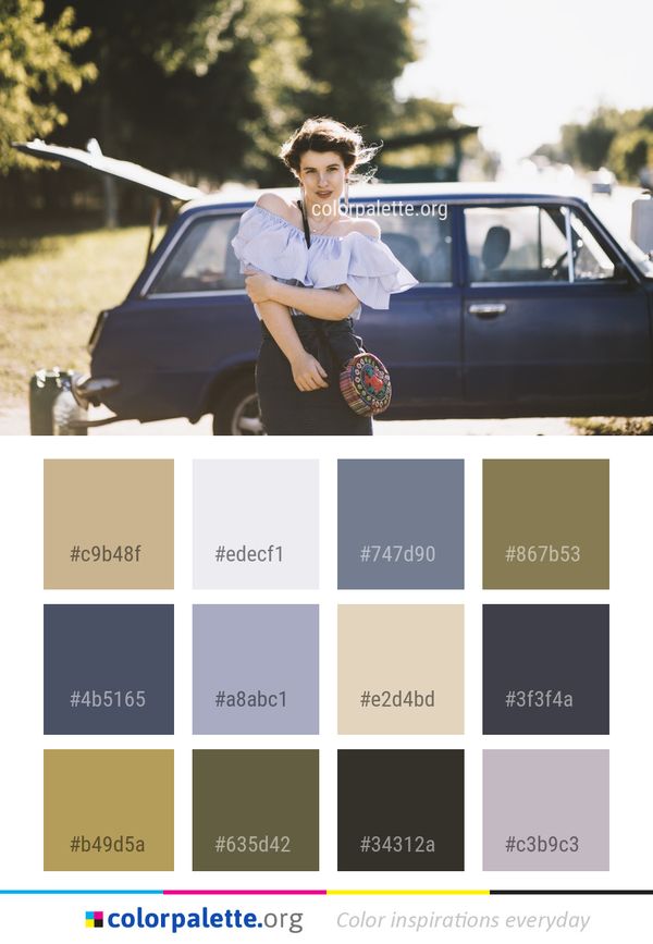 Car Vehicle Family Color Palette
