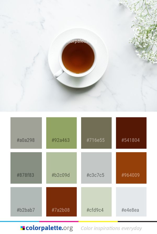 Cup Coffee Color Palette
