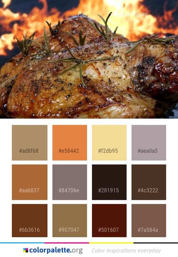 Dish Meat Food Color Palette