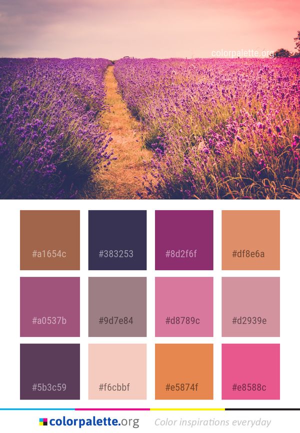 Field Sky Purple Color Palette