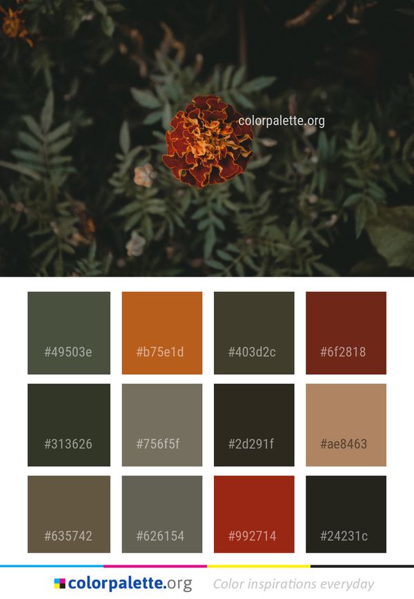 Flora Flower Vegetation Color Palette