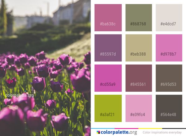 Flower Plant Pink Color Palette