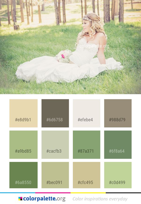 Gown Bride Photograph Color Palette