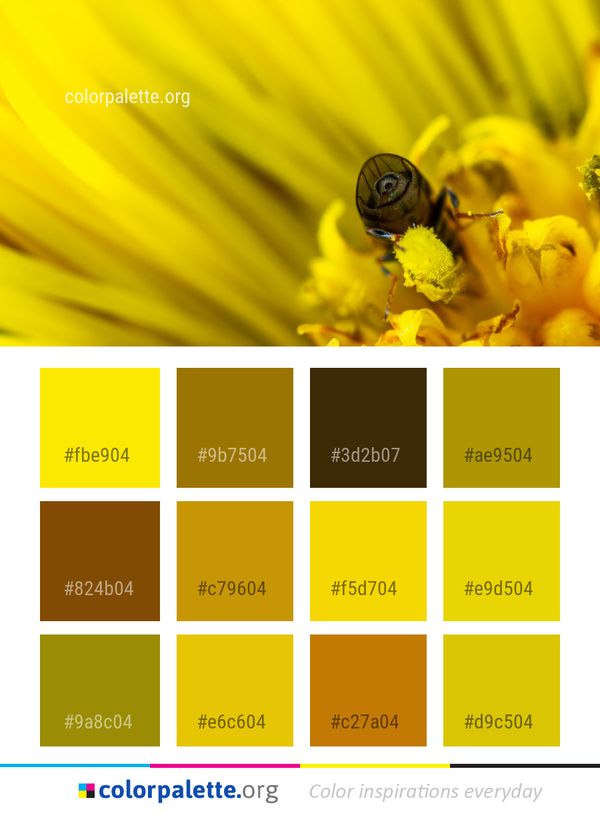 Honey Bee Yellow Color Palette