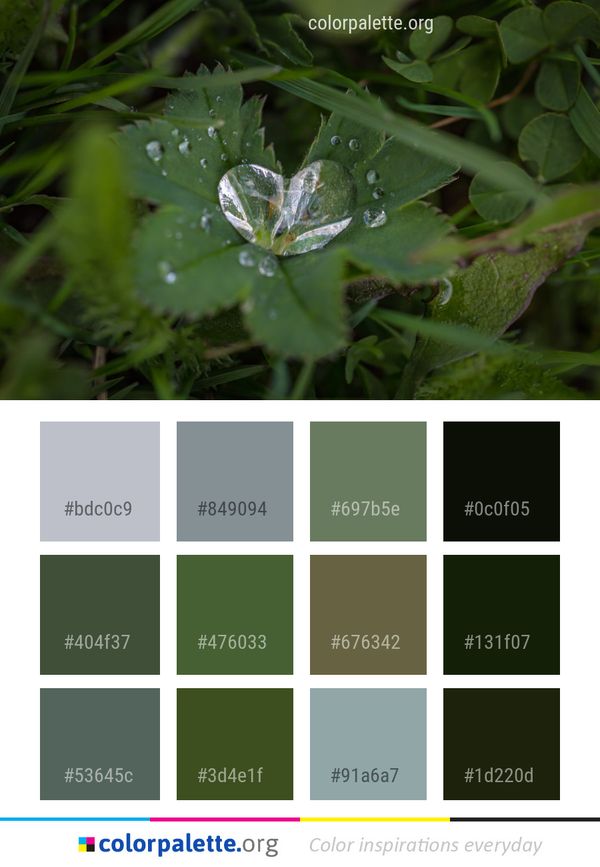 Leaf Flora Insect Color Palette