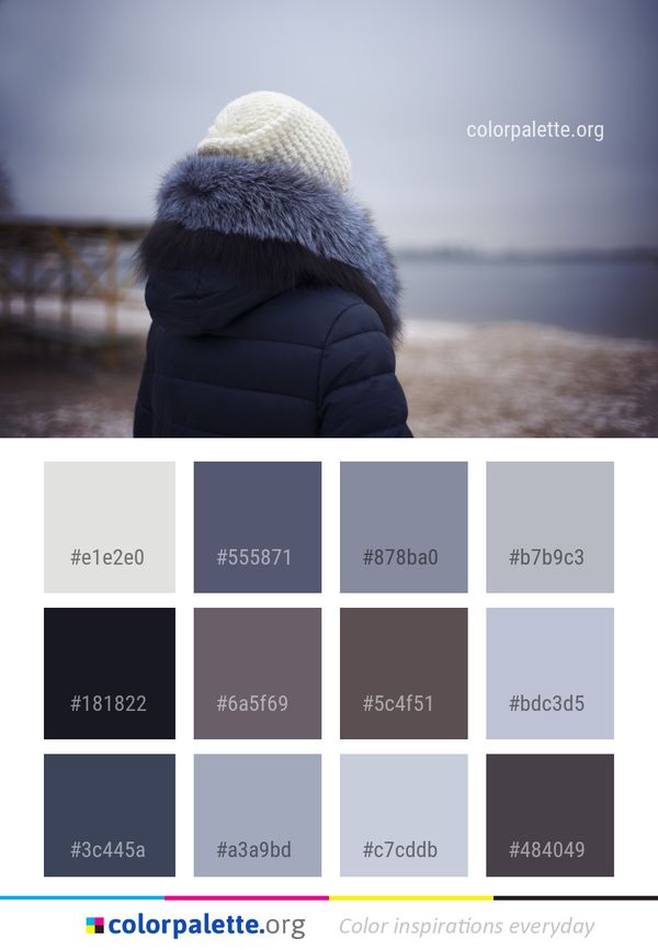 Photograph Winter Freezing Color Palette