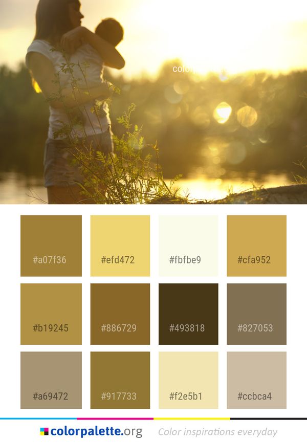 Photograph Yellow Sun Color Palette