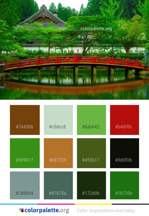 Reflection Nature Green Color Palette