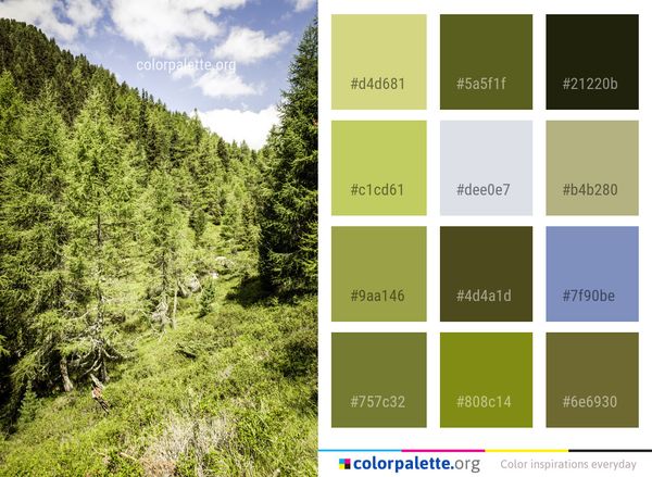 Vegetation Ecosystem Nature Color Palette