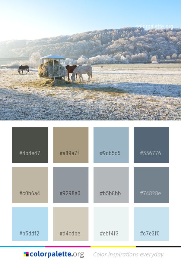 Winter Snow Freezing Color Palette