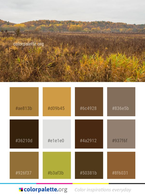 Ecosystem Vegetation Prairie Color Palette