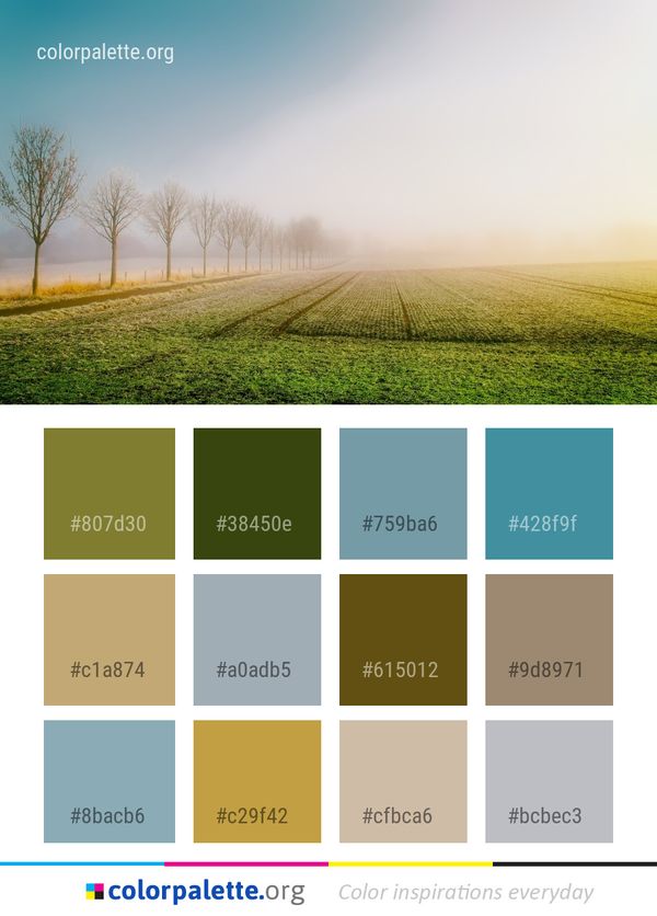 Field Sky Grassland Color Palette