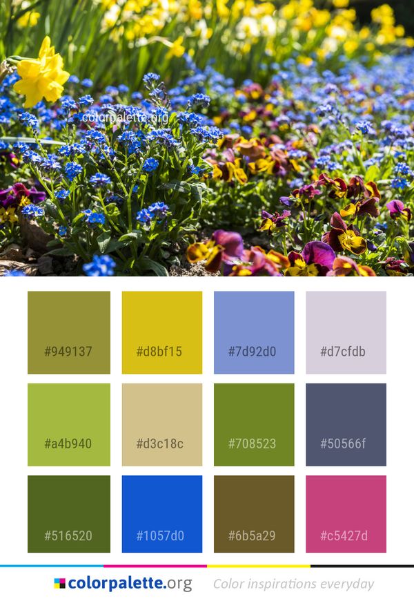 Flower Plant Flora Color Palette