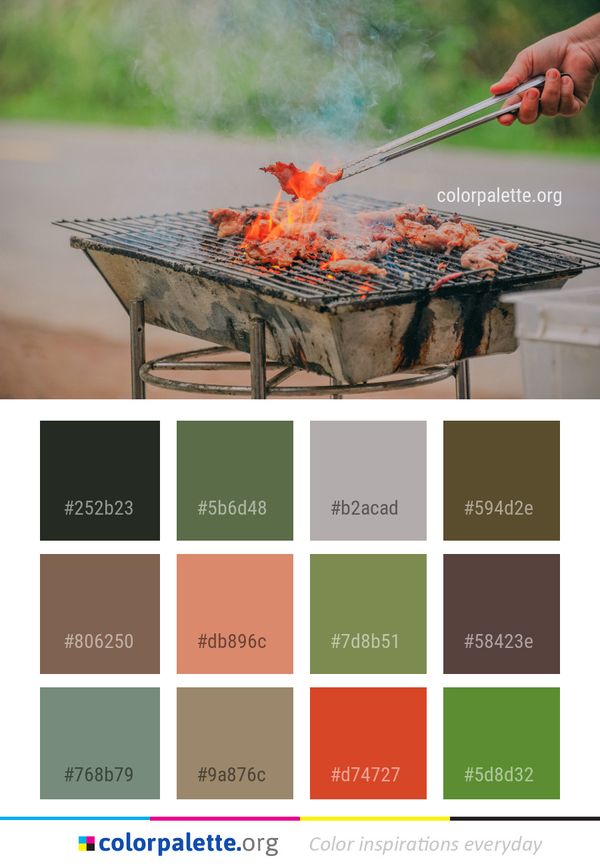 Grilling Barbecue Outdoor Grill Color Palette